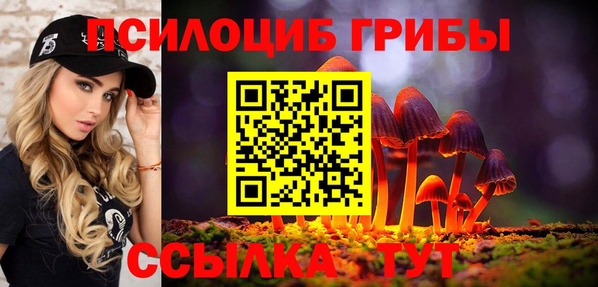 Галлюциногенные грибы Cubensis  Галлюциногенные грибы Cubensis  Вход с VPN  Куйбышев 