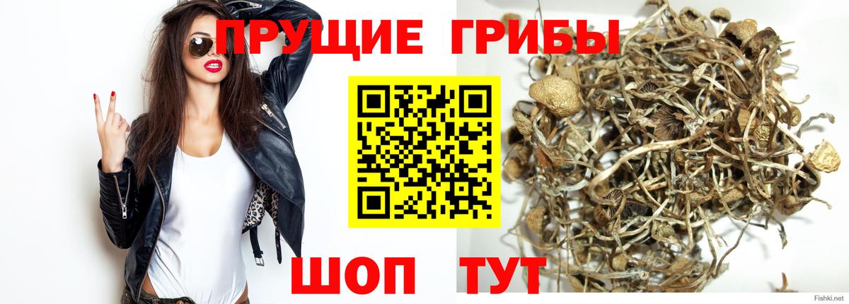Галлюциногенные грибы прущие грибы Куйбышев